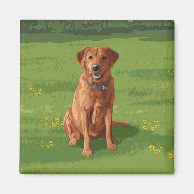 Fox Red Yellow Labrador Retriever Hund Magnet (Vorne)