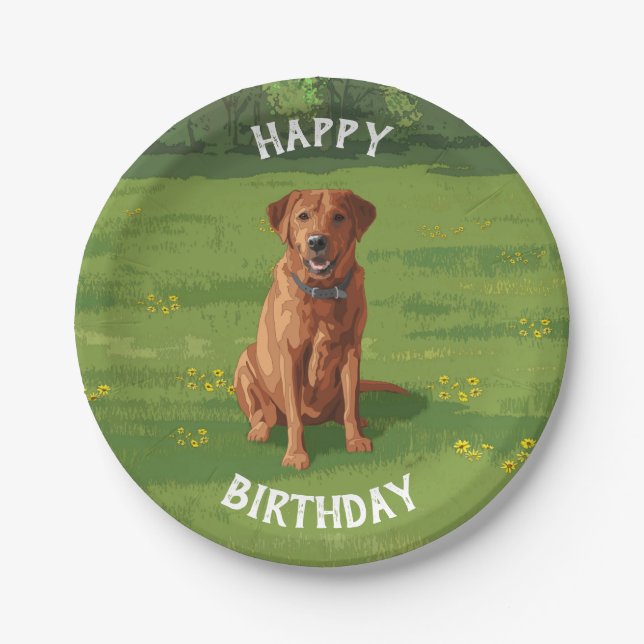Fox Red Yellow Labrador Retriever Hund Pappteller (Vorderseite)