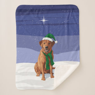 Fox Red Yellow Labrador Retriever Hund Sherpadecke