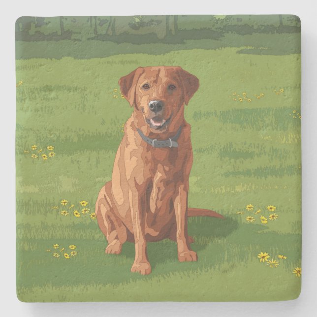 Fox Red Yellow Labrador Retriever Hund Steinuntersetzer (Vorderseite)