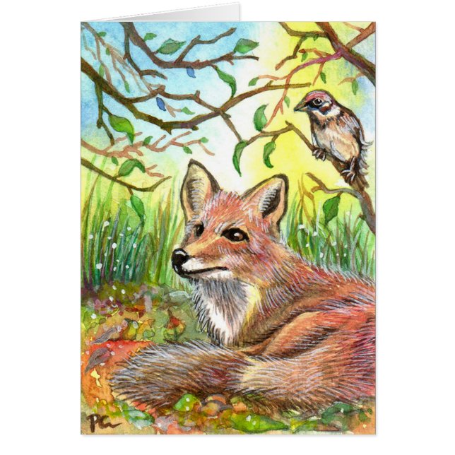 Fox-Ruhen mit Sparrow (Vorne)