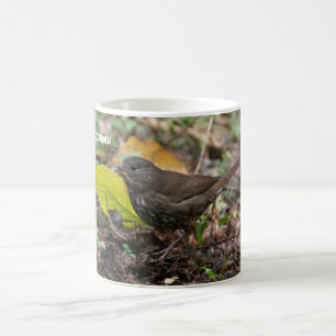 Fox Sparrow Kaffeetasse
