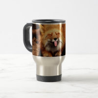 Fox Sticking Es ist Zunge-Out
