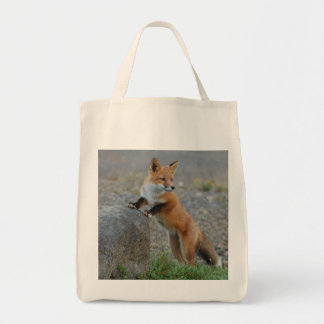 fox Tasche, Fuchs-Tasche, Fuchskäufer, Tragetasche