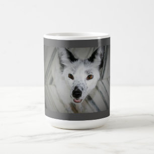 Fox-Tasse - Boris Kaffeetasse