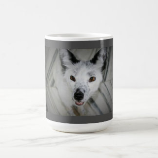 Fox-Tasse - Boris Kaffeetasse