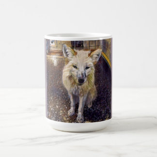 Fox-Tasse - Maks Kaffeetasse