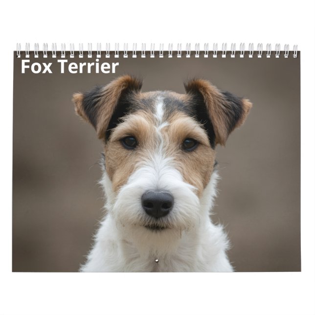 Fox Terrier 2027 Wandkalender (Titelbild)