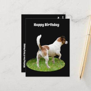 Fox Terrier auf Wachdienst, Geburtstagspostkarte Postkarte