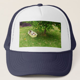 Fox Terrier Bathtime, Truckers Hat Truckerkappe