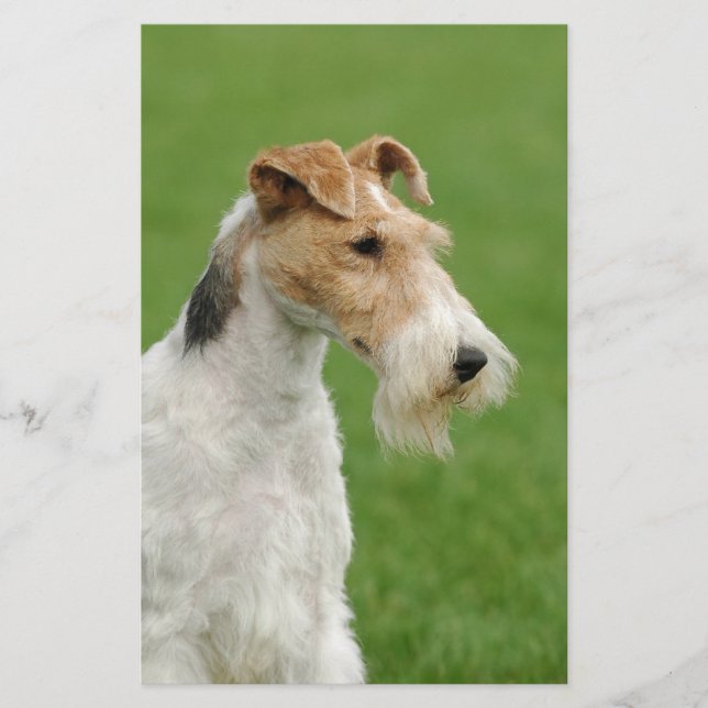 Fox Terrier Briefpapier (Vorderseite)