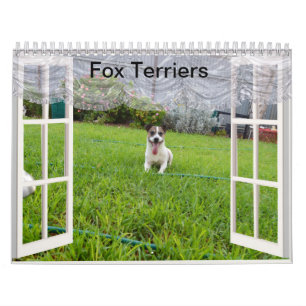 Fox Terrier Come Play, Kalender