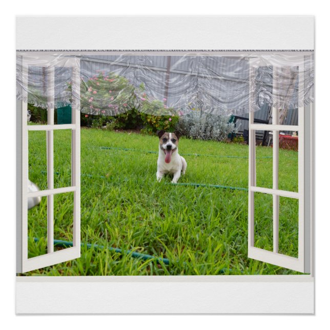 Fox Terrier Come Play, Poster (Vorderseite)