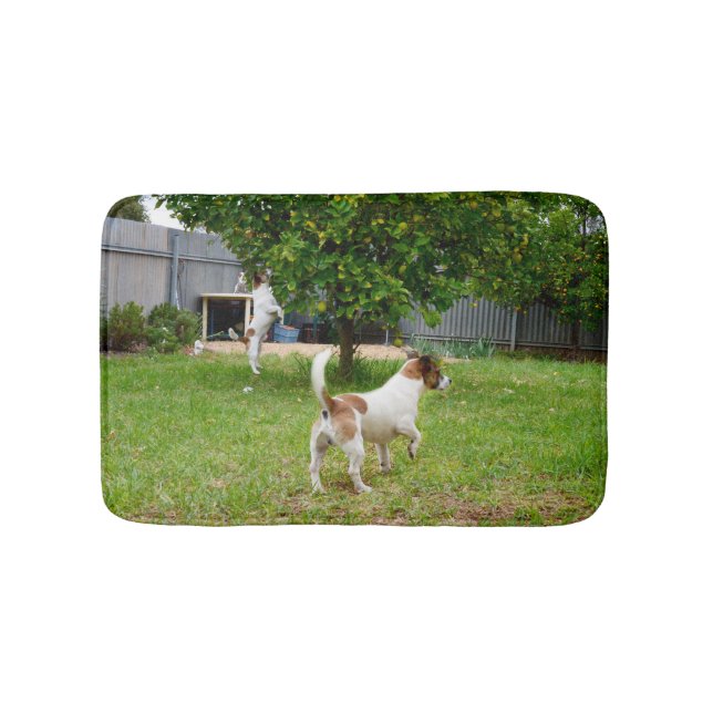 Fox Terrier, der in einen Baum sprang, Badematte (Vorderseite)