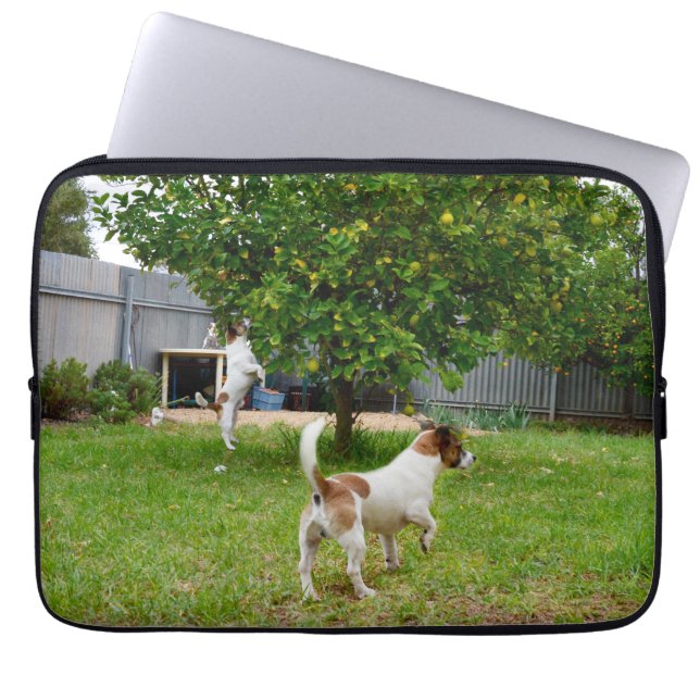 Fox Terrier, der in einen Baum sprang, Laptopschutzhülle (Vorderseite)