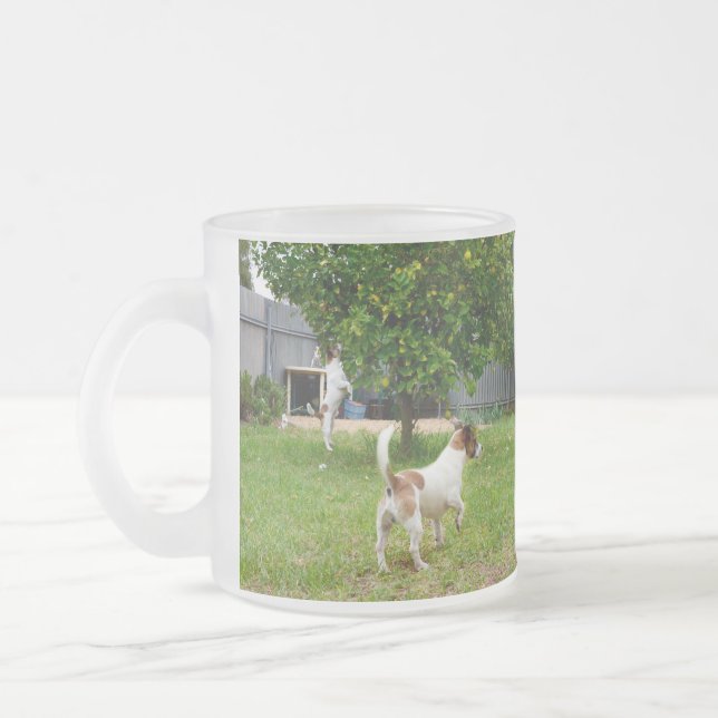 Fox Terrier, der in einen Baum sprang, Mattglastasse (Links)