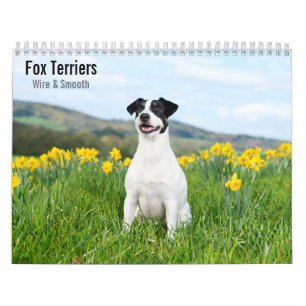 Fox Terrier Draht- und Glatt-haar 2027 Kalender