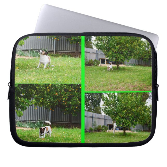 Fox Terrier, Foto Collage 10inch Laptop Sleeve. Laptopschutzhülle (Vorderseite)