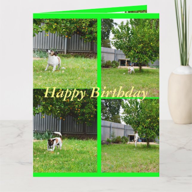 Fox Terrier, Foto Collage, Big Birthday Card Karte (Vorderseite)