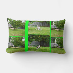 Fox Terrier Foto Collage, Lumbar Kissen. Lendenkissen