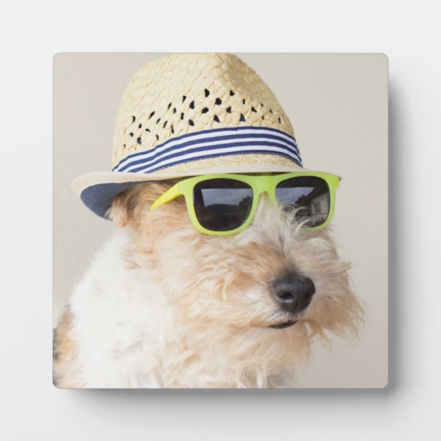 Fox Terrier Fotoplatte (Vorderseite)