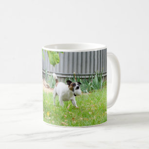 Fox Terrier Funny Scare Face, Kaffeetasse