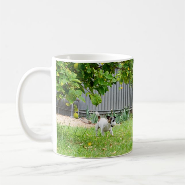 Fox Terrier, Funny Scare Face, White Coffee Tasse (Links)