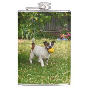 Fox Terrier Glückliche Tage,  Flachmann