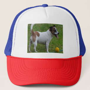 Fox Terrier mit seinem gelben Ball, LKW-Hut Truckerkappe