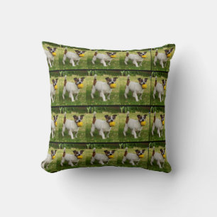 Fox Terrier mit seinem Kugelmuster, wirbelkissen. Kissen