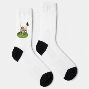 Fox Terrier on Alert Socken