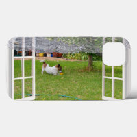 Fox Terrier Play Ball