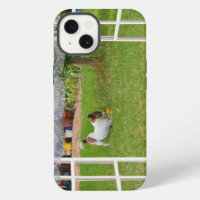 Fox Terrier Play Ball