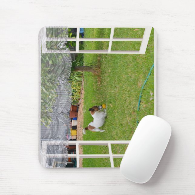 Fox Terrier Play Ball, Mousepad (Mit Mouse)