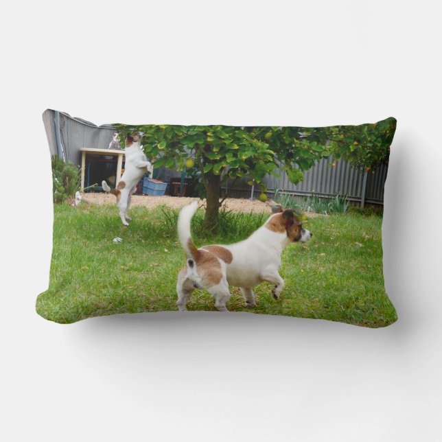 Fox Terrier Play Time Lumbar Cushion Lendenkissen (Vorderseite)