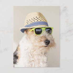 Fox Terrier Postkarte