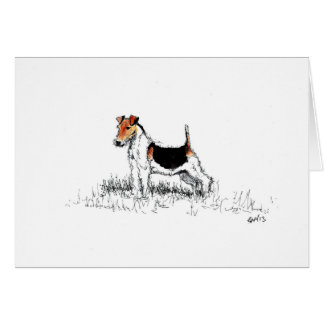 Fox Terrier stehend stolz