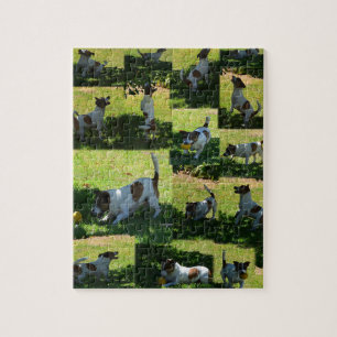 Fox Terrier, The Hard Day