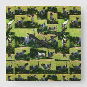 Fox Terrier, The Hard Day Quadratische Wanduhr