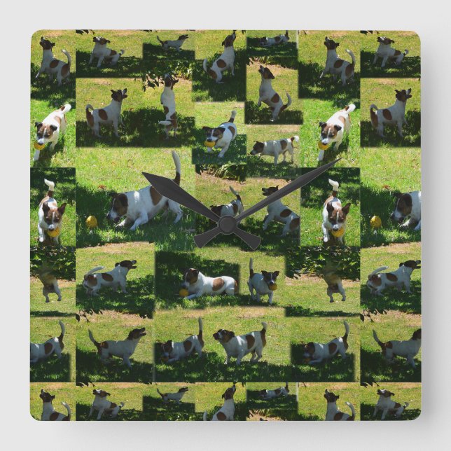 Fox Terrier, The Hard Day Quadratische Wanduhr (Vorderseite)