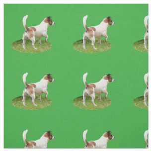 Fox Terrier The Stance, Stoff