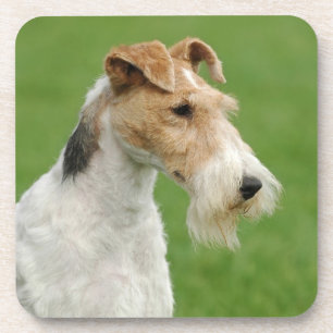 Fox Terrier Untersetzer