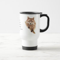 Fox, Tiertotem, Geistführer, Symbol