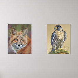 Fox- und Peregrine-Falkendrucke Bilderwand Sets