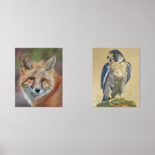 Fox- und Peregrine-Falkendrucke Bilderwand Sets