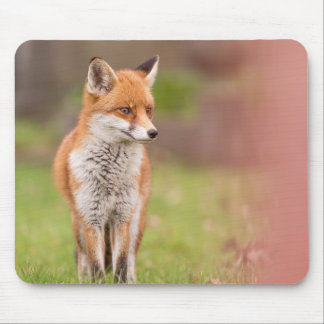 Fox Vixen Mouse Mat Mousepad