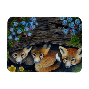 Fox-Welpen-Magnet Magnet