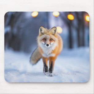 Fox Wildlife Animal auf der Straße im Freien Mousepad