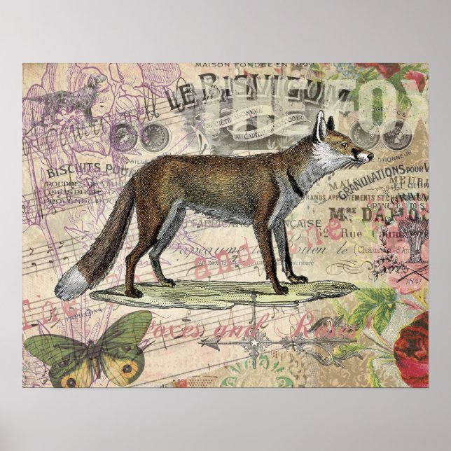 Fox Wildlife Collage Vintag Illustration Poster (Vorne)