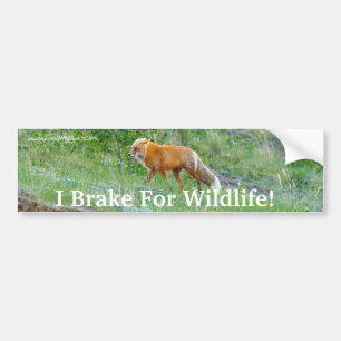 Fox Wildlife Protection-Autoaufkleber Autoaufkleber